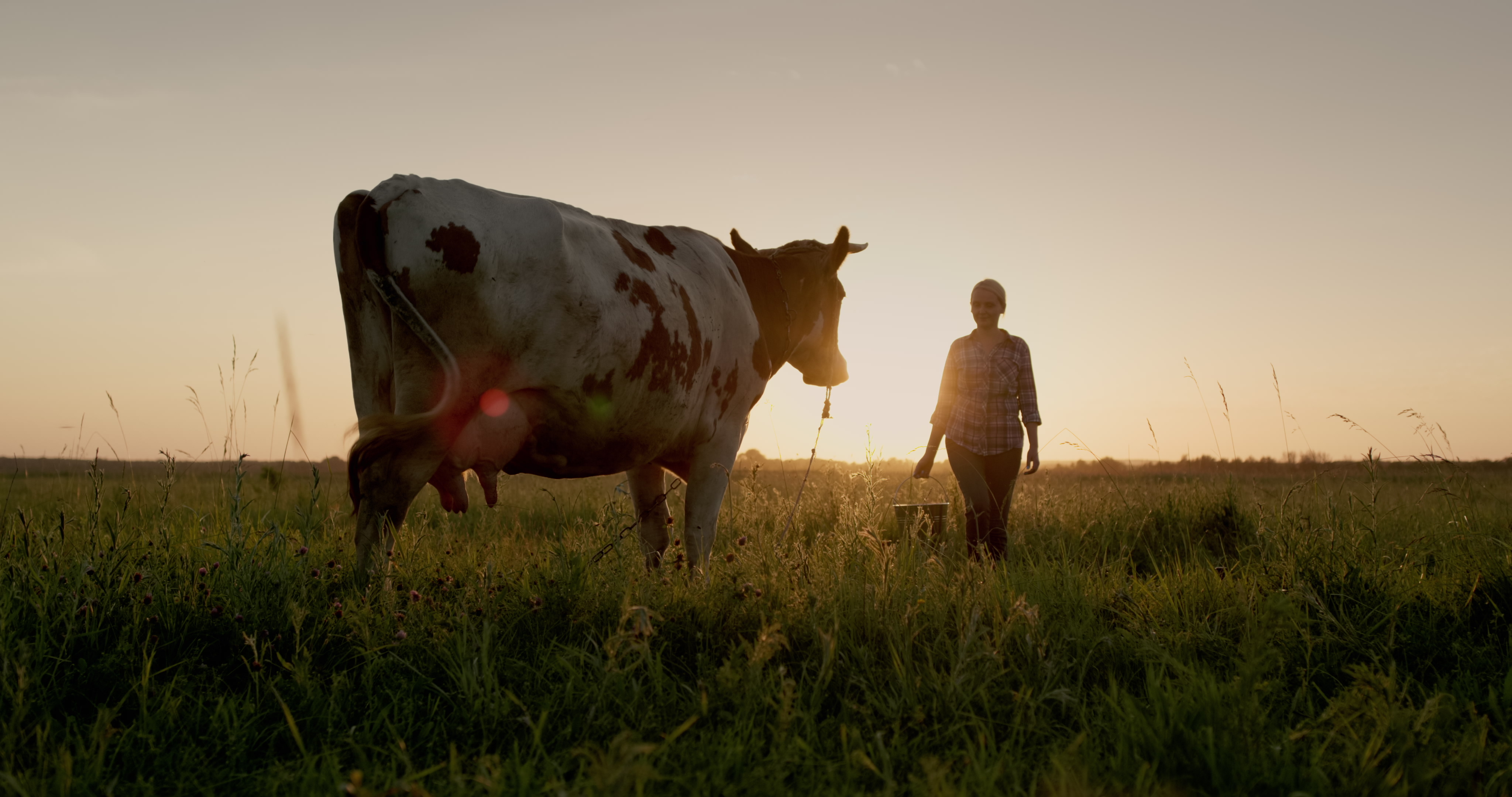CNIEL — Au rythme du lait